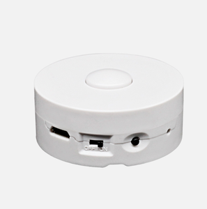 Grabadora de Voz de Osito de Peluche de Alta Calidad Personalizable de 195 Segundos con Batería de Litio Recargable para Niños, Juguetes de Peluche Personalizados - Product Image 2