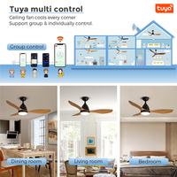 Ventilateur de plafond silencieux pour maison intelligente Moteur à courant continu 5 vitesses 48 pouces pales ABS Ventilateur de plafond à lustre Wifi avec lumières