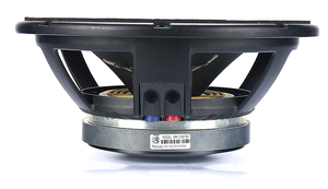 Altavoz profesional de alta potencia para uso en exteriores, altavoz para dj de 250 vatios y 12 pulgadas
