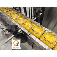 Machine de remplissage MTW à double tête pour bouteilles, avec pompe à lobes, pour houmous, huile de piment, crème de haricots, sauce à l'ail, pâte de sésame