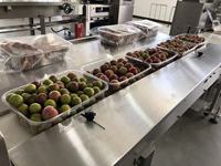 Hoge Kwaliteit Verse Fruit Snoeien Cherry Automatische Horizontale Wrapper Kussen Verpakkingsmachine Flow Wikkelen Machine