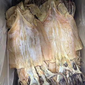 Mariscos Secos al Sol, Naturales, Bajos en Sal, Sin Arena, de Alta Calidad, Calamar Seco Entero, 10 kg, Paquete al por Mayor OEM - Product Image 3