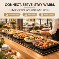 Plateau chauffant électrique modulaire pour aliments, planche isolante, planche chauffante pour plats, planche de maintien au chaud, accessoire pour la maison