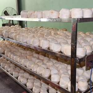 สบายใจโดยไม่ใช้จ่ายมากเกินไป - น้ํามะพร้าวราคาประหยัดสําหรับการเดินทางในฤดูร้อน - Product Image 3