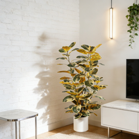 Plantes artificielles en caoutchouc variées Nifloral, vente en gros, faux arbre en pot pour la décoration intérieure