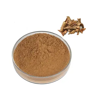 Plant Extract Acacia Bark Extract Powder Alkaloid Acacia Catechu Extract powder