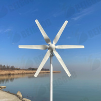 Générateur éolien horizontal en matériau premium 1000W 1KW 12V 24V 48V Triphasé AC 6 pales et contrôleur pour maison, ferme, bateau