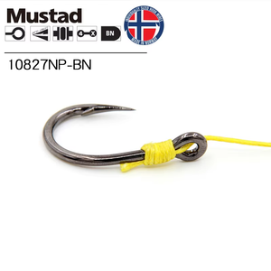 Amo da pesca Villain Jig Head per acqua dolce e salata, 10 pezzi, con leader integrato, rinforzato, per la pesca in mare di carpa, persico, trota e merluzzo - Product Image 4