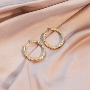 RAKOL EP3012 Rhodiumplated Women's Elegant Earrings Fashion Round Hollow Earrings - Product Image 5