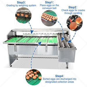ORME Trieuse d'œufs automatique à petite échelle par poids, machine de tri de poulet par convoyeur - Product Image 3
