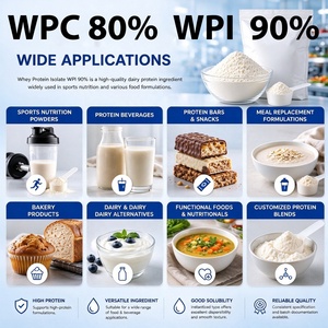 Isolat de protéines de lactosérum en vrac WPI 90% en poudre, concentré de protéines de lactosérum WPC 80% pour la nutrition sportive et la formulation alimentaire - Product Image 3