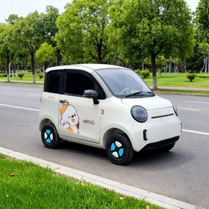 Venta Directa de Fábrica, Auto Eléctrico de 4 Ruedas, 2 Puertas, 4 Asientos, 1000W, Compacto, Flexible, Velocidad Máxima 55km/h, Mini Auto Eléctrico - Product Image 2
