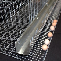 Cage à poulets automatique robuste de type A pour élevage en batterie, enclos en dôme pour volailles de basse-cour, poulailler en fil métallique