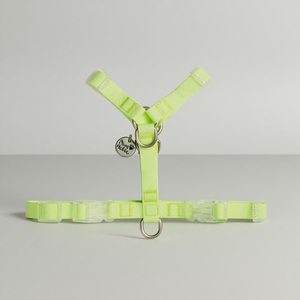 Solid Simple Fashionable PVC Y-Shaped Design <b>Dog</b> Harness Waterproof Vest Customized Personalized <b>Dog</b> Accessory Wholesale OEM ODM - Product Image 1