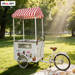 Machine à glaces et à gelato professionnelle REALLY Mobile Food Outdoor Use Pro V2, 2 saveurs, congélateur par lots, refroidissement par air, fibre de verre - Product Image 6