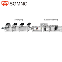 Automatische aardbeienwasmachine met continue doorstroming, 500 kg/uur, voor de verwerking van diepvriesaardbeien.