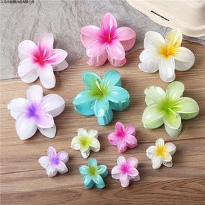 Lot de 3 pinces à cheveux en plastique motif fleur d'œuf et Bauhinia, avec emballage carton, style mignon, respectueux de l'environnement - Product Image 2