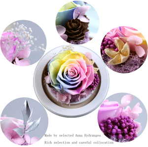 Set regalo in vetro ogni fabbrica di amore all'ingrosso fiore conservato per sempre rosa eterna romantica festa della mamma ambiente amichevole - Product Image 5