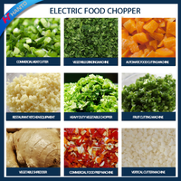Machine à hacher les légumes rapide, hachoir électrique commercial pour oignon, ail, gingembre