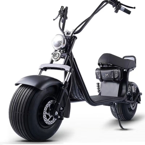Citycoco 1000W sin escobillas motocicleta eléctrica para adultos 2 ruedas de neumáticos gordos Scooter Eléctrico 8000W Motor de potencia 48V almacenado EE. UU. UE CN - Product Image 1