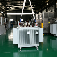 Transformateur de distribution immergé dans l'huile à noyau amorphe S20, ultra faible perte, 10-35 kV, triphasé, IEC60076, sur mesure