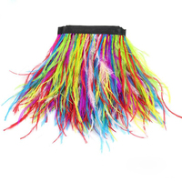 Bordures en plumes d'autruche mélangées et teintes, pour robes de soirée, accessoires décoratifs pour vêtements