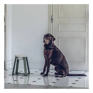 Hot Luxury Ceramic Pet Feeder <b>Dog</b> <b>Bowl</b> Top Selling Accessory on Trend Elevated Cat Eating <b>Bowl</b> Hot Product Supply - Product Image 1