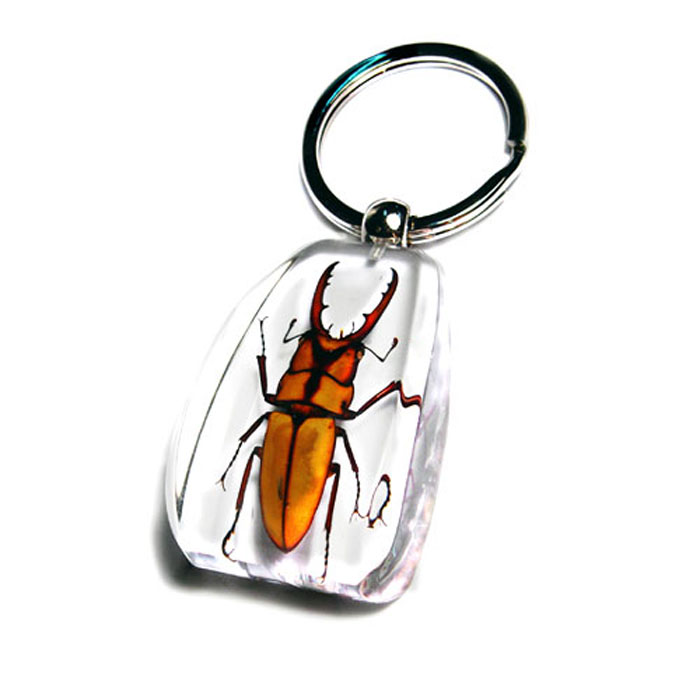 Large Drop-shaped Insect Amber Keychain: Spider & Beetle