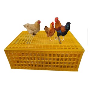 Caja de transporte de aves de corral o caja de transporte de pollo, pato, ganso y pollo - Product Image 1