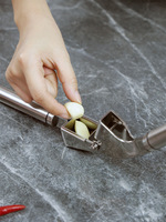 Presse-ail manuelle en acier inoxydable 304 de qualité professionnelle, ustensile de cuisine en métal pour la maison, pour faire de la pâte de gingembre et d'ail