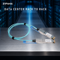 Câble optique actif QSFP-DD AOC 400G, module fibre optique QSFP-DD vers QSFP-DD 400 Gbit/s pour commutateur de centre de données, longueur personnalisée