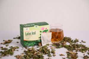 ชาใบบัวบกบริสุทธิ์ 100 กรัม แบบซอง 2 กรัมต่อซอง ผลิตโดย NMPT รับผลิตแบบ OEM ODM ปริมาณสั่งซื้อขั้นต่ำน้อย ผลิตจากเวียดนาม ภูโธ คุณภาพพรีเมียม อายุการเก็บรักษา 2 ปี - Product Image 4