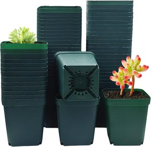 <span class=keywords><strong>Pot</strong></span> de pépinière en plastique en gros avec trou de drainage, contrôle de l'humidité, <span class=keywords><strong>pot</strong></span> épaissi pour semis, <span class=keywords><strong>pot</strong></span> de <span class=keywords><strong>serre</strong></span> pour plantes - Product Image 1