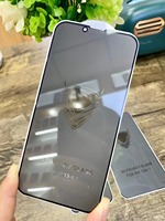 Protecteur d'écran anti-espion pour iPhone, en verre trempé pour confidentialité, 6S, 7, 8 Plus, SE, 13, 12, 11 Pro, Max, Mini, XS, MAX, XR,