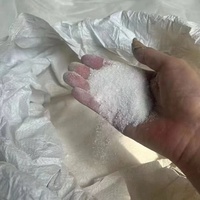Muestra Gratuita Directo de Fábrica, Cloruro de Amonio al 99%, Fuente de Nitrógeno de Acción Rápida y Rentable, Esencial para un Crecimiento Vegetativo Robusto
