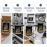 Gummies de Shilajit 60 unités OEM ODM – Mélange d'acide fulvique pour l'énergie, la vitalité masculine et le soutien immunitaire