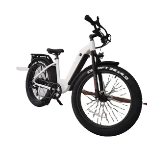 26*4.0 "MTB eBike 500w48vペダルアシスト電動マウンテンバイク26インチロードOemOdm電動自転車大人用