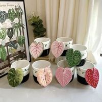 Tasse à café artisanale de Chaozhou avec motifs de feuilles de terrarium originaux sous glaçure céramique ; Cadeau en boîte cartonnée