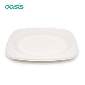 Oasis Biodegradable Disposable Bulk Paper <strong>Dinnerware</strong> Sets New Design Plates for Parties Restaurants and Hotels - Product Image 5