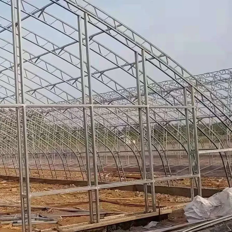 Winter gewächshaus deckt Pflanzer Doppels chicht chinesisches Solar gewächshaus passives Solar gewächshaus Kit