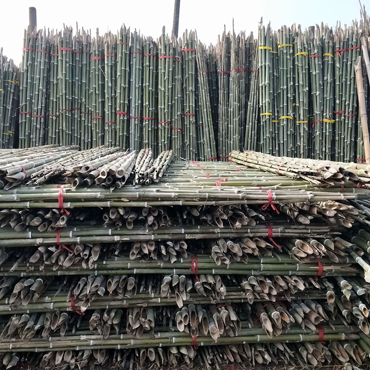 Большие длинные бамбуковые стойки 180 см, которые можно использовать в качестве рамы, обработаны прямыми натуральными