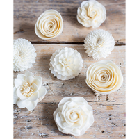Diffuseur de parfum d'ambiance en roseau de bois de sola en gros, diffuseur de fleurs artificielles, bâtonnets diffuseurs de fleurs