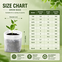 Sacs de culture souples en tissu blanc pour pépinières, semis, herbes et légumes – Vente en gros