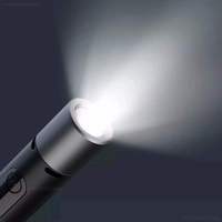 Youpin Nextool Lightning Voyage Forte Lumière Son Lumière Alarme Infrarouge Scan Caméra Détecteur Rechargeable Anti Peeping Lampe de Poche