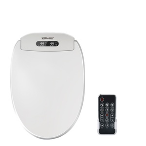 Remote control intelligent toilet Home decoration bathroom automatic sensor flushing electric no tank