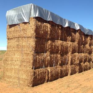 Bâche de protection industrielle multi-usages en polyéthylène doublement enduit (PE) imperméable argentée pour balles de foin, robuste, Blue Ocean Shandong - Product Image 4