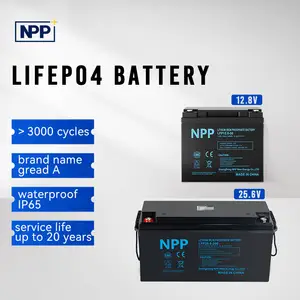 Factory Built-In Bms Solar System Energy Storage 12.8V Lifepo4 Battery Lithium Ion Phosphate Batteries Packs