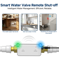 Vanne d'eau intelligente WiFi, détection de la pression de l'eau, détection du débit, détection de la température, détection des fuites, détection à une touche