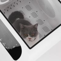 Boîte de séchage pour animaux de compagnie 66L, adaptée aux animaleries et au séchage rapide des chats, armoire intelligente pour la maison des chiens