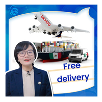 Agent maritime professionnel le plus rapide DDP DDU FCL LCL de Chine vers le Mexique Livraison aérienne + express